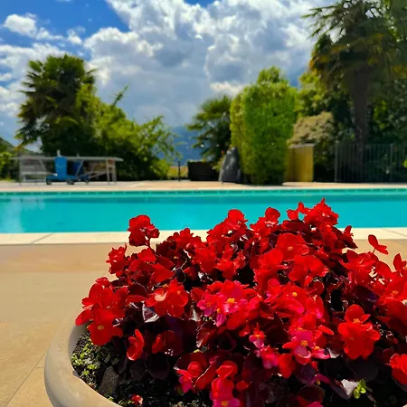 Hébergement de vacances The Comfortable House With Big Pool In The Center Of *